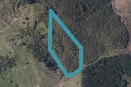 0 State Highway 12, Whirinaki, Whirinaki
