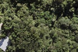 15D Treetops Way, Bayview, Auckland