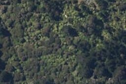 0 Paradise Bay, Pinohia, Havelock