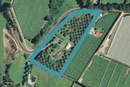 61 Maungarangi Road, Paengaroa, Te Puke