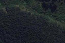 731 Takarau Gorge Road, Makara, Karori