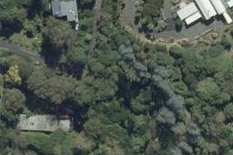 45 Irvine Road, The Cove, Dunedin