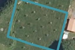 5 Murray Lane, WOODVILLE, Woodville
