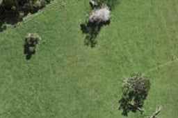20 Te Ara Tu Para, Albany, Auckland