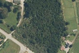 31 Arthurstown Road, RUATAPU, Ruatapu