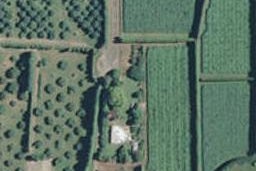 93 Armstrong Road, Waiotahe, Opotiki