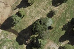75 Te Napi Drive, Takanini, Auckland