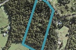 384 Sunnyside Road, Albany