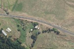 211 Brandon Hall Road, Bulls