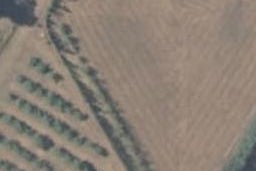 0 Johnston Road, Rakaia, Rakaia