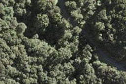 217 Lonely Track Road, Albany Heights, Auckland