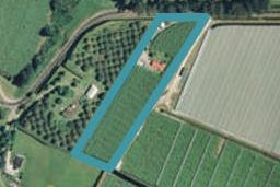 31 Maungarangi Road, Paengaroa, Te Puke
