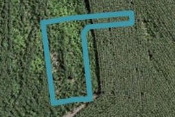 11 Uatoto Road, Clarks Beach, Clarks Beach