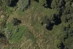 15 Royal Saint Annes Drive, Te Kamo, Whangārei