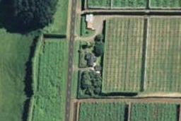 287 Maniatutu Road, Pongakawa, Te Puke