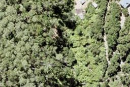 36 Wilson Avenue, Kawau Island
