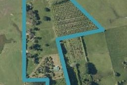 308A Fordyce Road, Helensville, Helensville