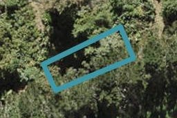11 Kiekie Street, Westgate, Auckland