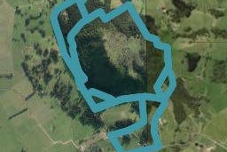 231 Mountain View Road, Hikurangi, Hikurangi