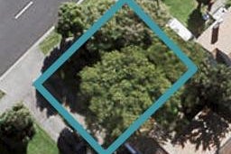 10A Meola Road, Westmere, Auckland
