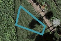 3 Uatoto Road, Clarks Beach, Clarks Beach