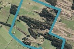 344 Brandon Hall Road, Bulls
