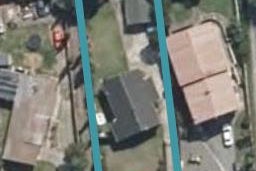 12 Flower Street, Bulls