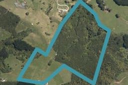 361C Muriwai Valley Road, Muriwai, Muriwai