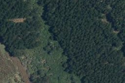 0 Matakana Island, Matakana Island, WESTERN BAY OF PLENTY