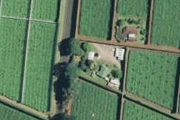 195 Te Matai Road, Te Puke, Te Puke