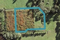 79C Barrett Road, Riverhead