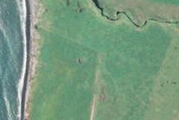 401 Porikapa Road, Warea