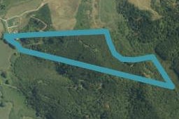 279 Te Kauri Road, Hauturu, Oparau