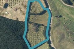 4500 Pouto Road, Te Kopuru