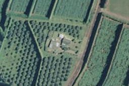 214 Mccarthy Road, WAIOTAHE, OPOTIKI