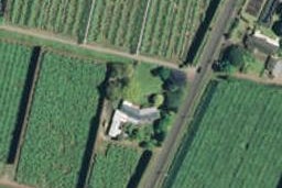 278 Te Matai Road, Te Puke, Te Puke