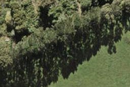 4D Mahogany Street, Westgate, Auckland