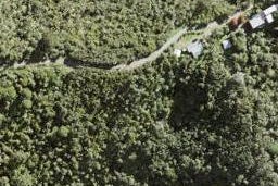 10 Kokako Grove, Te Henga / Bethells Beach