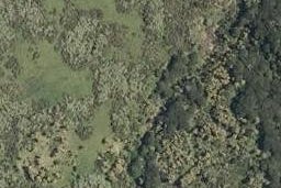 0 Gorge Road, Opononi, Kaikohe