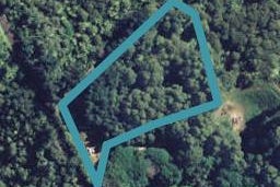 295 McCoy Road, Wainui, Whakatāne