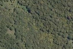 0 Oneriri Road, Kaiwaka, Kaiwaka