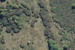 0 Uwha Road, Raurimu, Owhango