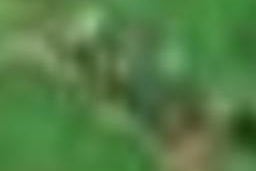 84 Lodore Road, Okaihau, Okaihau