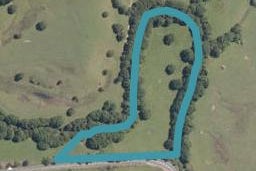 667 Whangaripo Valley Road, Whangaripo, Wellsford