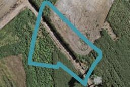 1 Uatoto Road, Clarks Beach, Clarks Beach