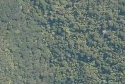 0 Waimahana Bay, Mangonui, Mangonui