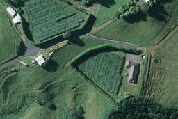 0 Punga Way, PAPAMOA