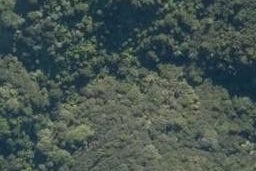 0 Whangarei Heads Road, Tamaterau, Whangarei