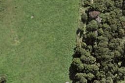 70 Te Aniwaniwa Terrace, Albany, Auckland