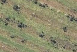 0 Oparara Road, Karamea, Karamea